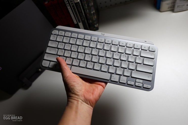 로지텍 mx keys for mac