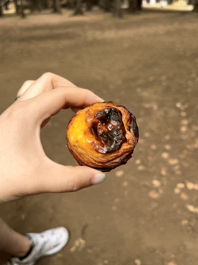 도쿄 요요기공원 나타데크리스티아노 리틀냅커피스탠드 카페투어