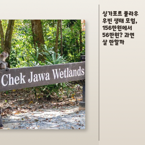 싱가포르 왕복 교통편 투어, 풀라우 우빈 가기 전 이 점을 알아두세....