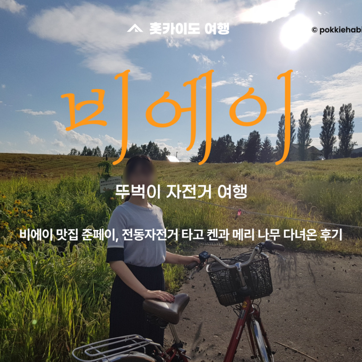 삿포로 비에이 뚜벅이 자유여행 | 전동 자전거 타고 켄과 메리 나무 ....