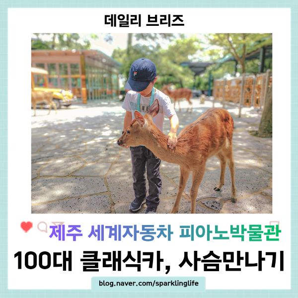 제주 세계자동차 피아노박물관 입장료 할인·도슨트 예약·체험 총....