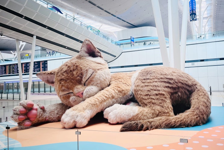홍콩국제공항 대형 고양이, A Moment to Purr