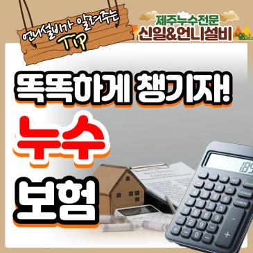 아래층 천장 물자국에 덜컥 겁부터 났다면? 수백만 원 아끼는 누수보험(일배책)의 비밀
