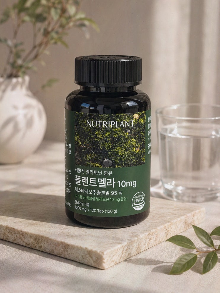 라이즈네 여름방학 유튜브, 뉴트리플랜트에서 본 플랜트멜라와 성찬 꿀잠 정식 같은 조합 후기