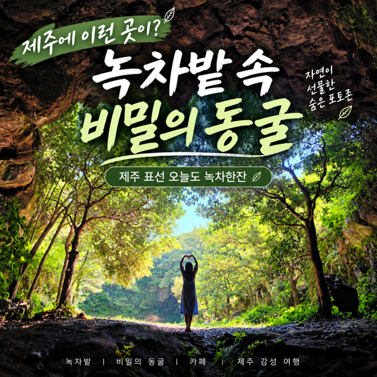 제주 표선 오늘도 녹차한잔｜녹차밭 속 비밀의 동굴, 사진 찍기 좋....