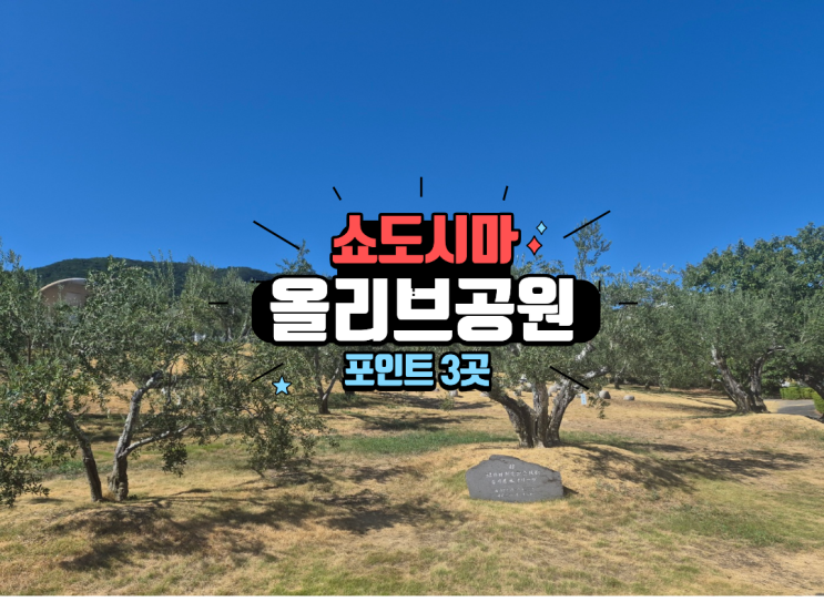 쇼도시마 올리브공원 놓치면 안되는 포인트 3곳 オリーブ公園