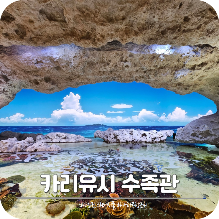 오키나와 DMM 카리유시 수족관 입장권 가격 시간 가는법