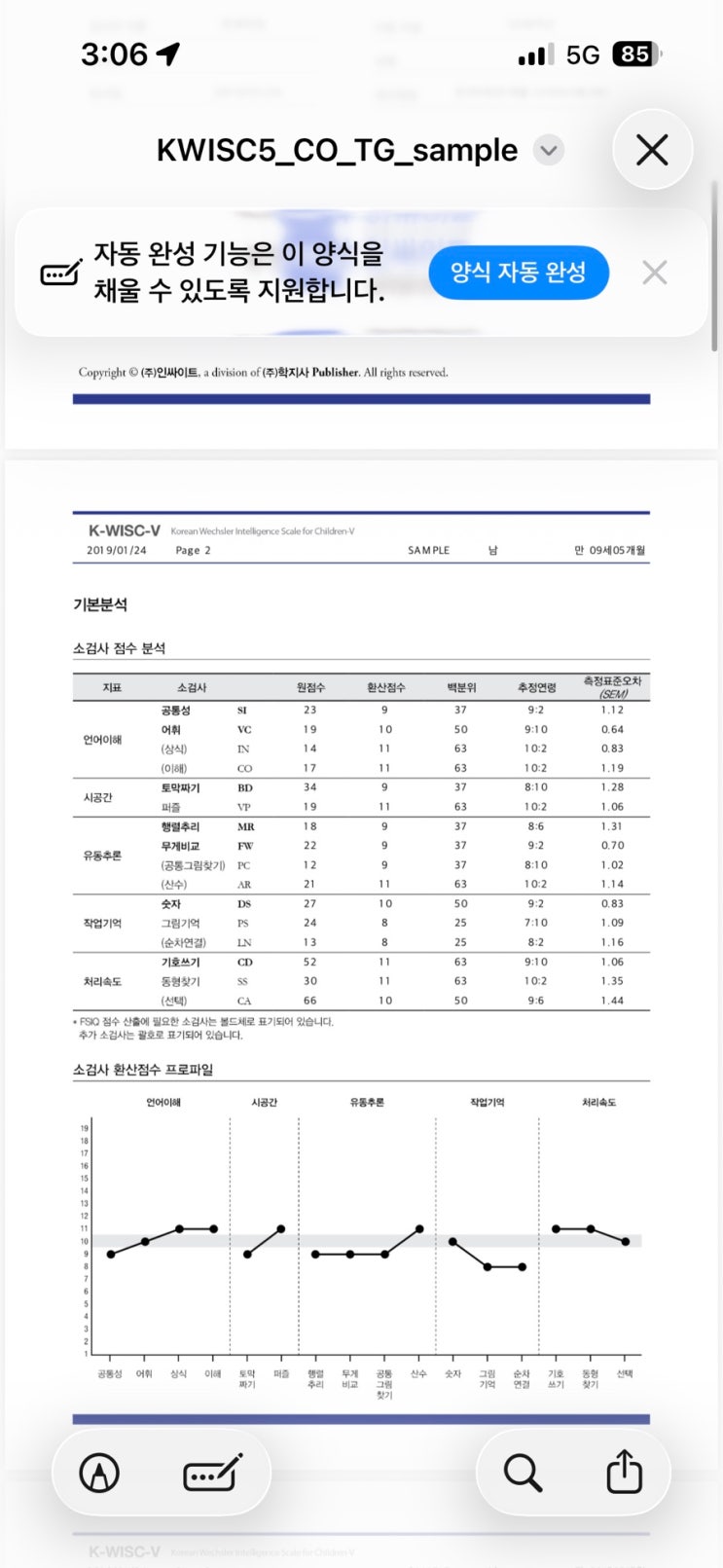 지능 검사(웩슬러) 해석(학지사-인싸이트 출처 sample) : 네이버 블로그