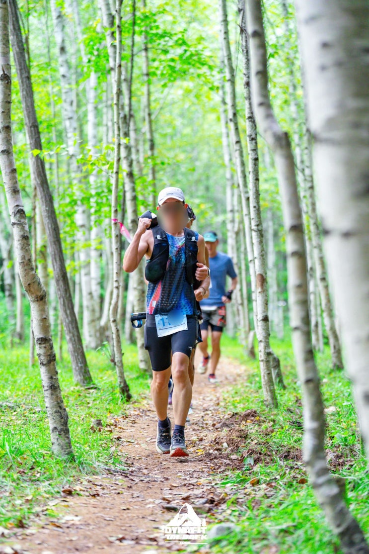 2026 다이나핏 태백 트레일런/15K