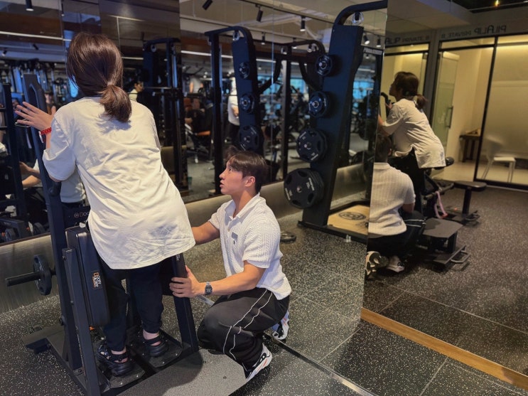 고운동 헬스장, 짐프레스&필라립 나성점 PT 3회로 독학 끝