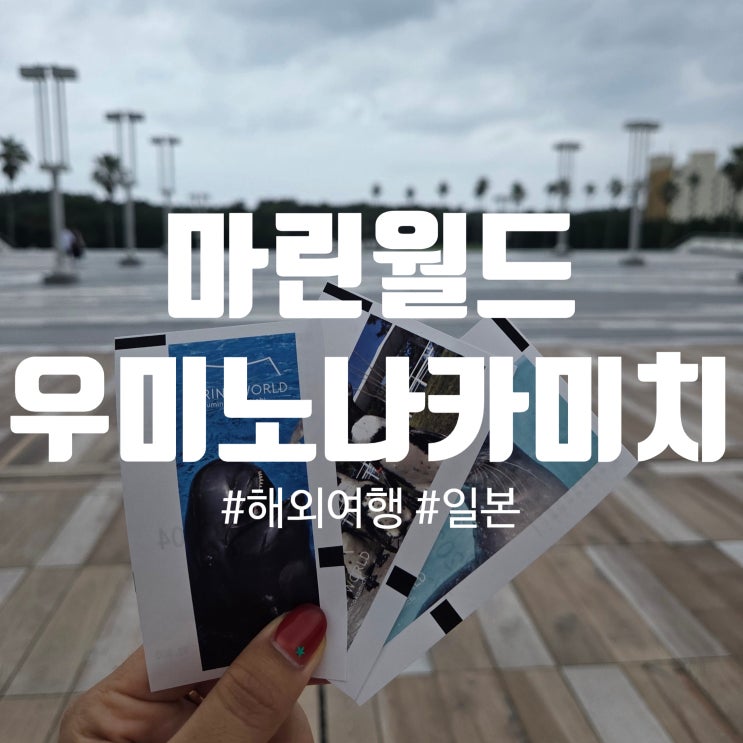 후쿠오카 여행 필수 코스! 마린월드 우미노나카미치 돌고래쇼 생생 ....