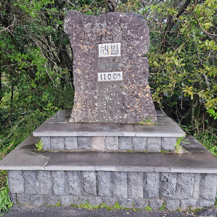 한라산 1100고지 제주도 드라이브 코스 산책 추천