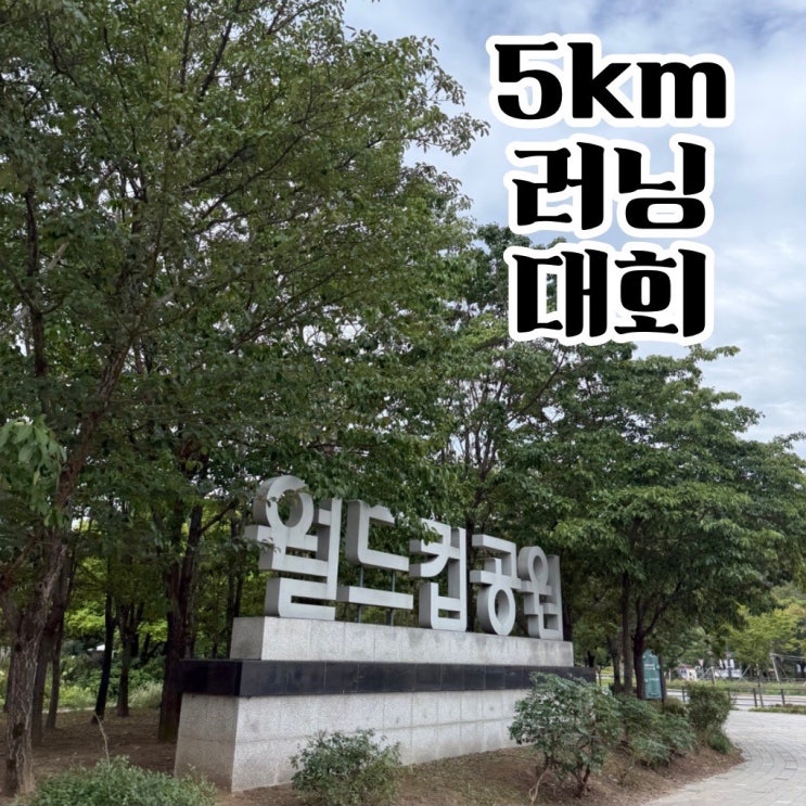5km 러닝 대회 에너지 히어로 레이스 2026 후기 마라톤 배번호 기념품