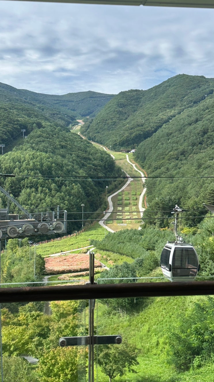 [일상리뷰] 2026빵트레일런/2026정선 빵 트레일런/2026빵트레일런12km