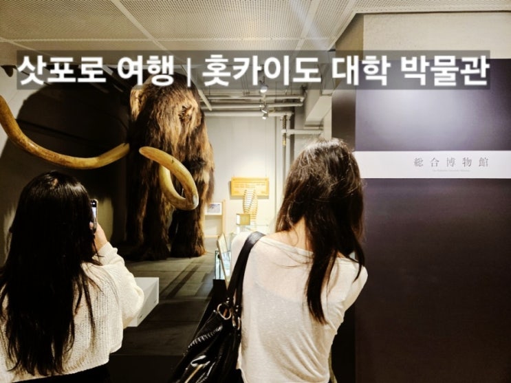 삿포로 가볼만한곳 홋카이도대학교 산책과 무료 박물관
