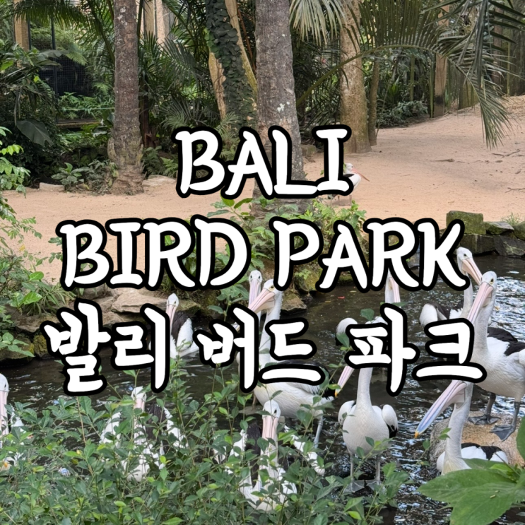 [일상] 발리 새 공원 아이랑 가기 좋은 버드 파크  Bali Bird Park 여행 ....