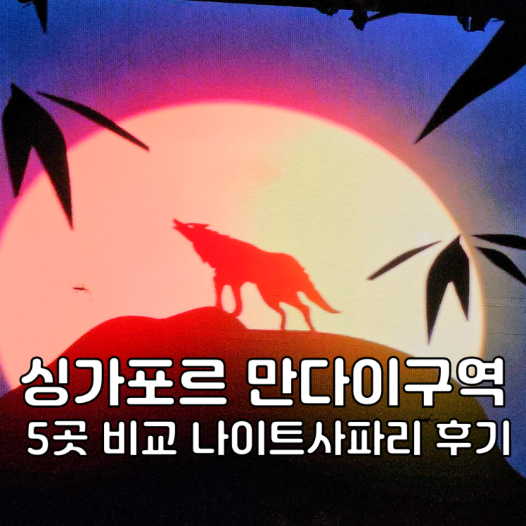 싱가포르 나이트사파리 만다이 동물원 5곳 입장권 예약 추천