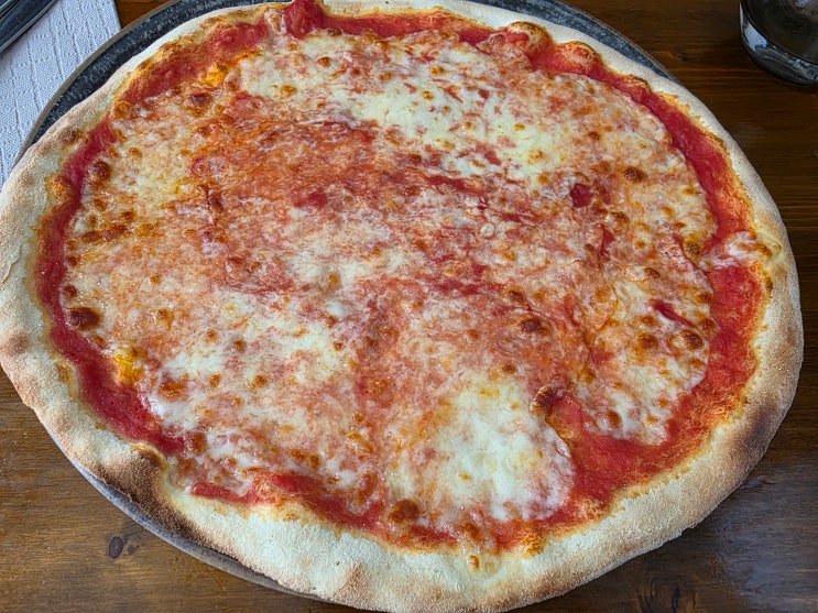 오스트리아 빈 알베르티나 미술관 근처 피자 맛집 Ristorante L`Asino che ....