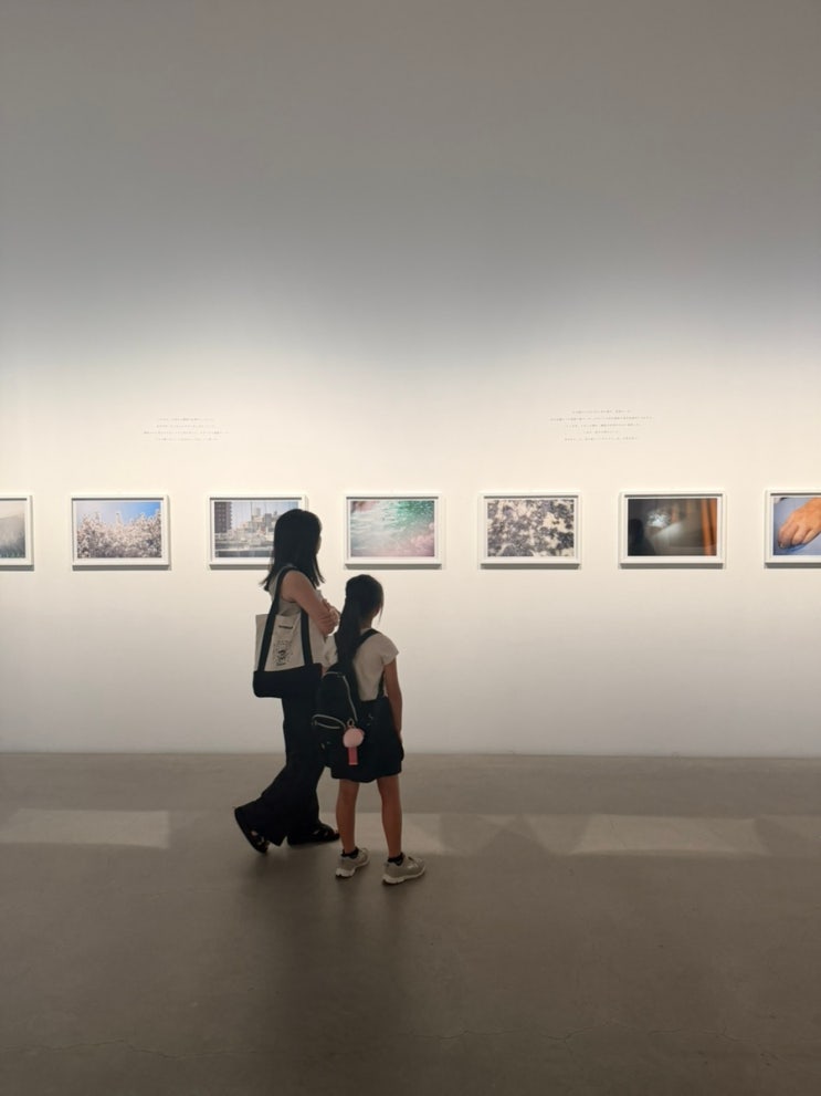 일본 소도시 중부여행 Day-4 가나자와 투어 (겐로쿠엔,21세기미술관,....