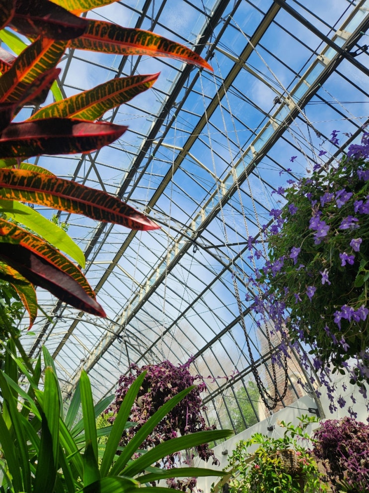 Winter Garden - Auckland Domain