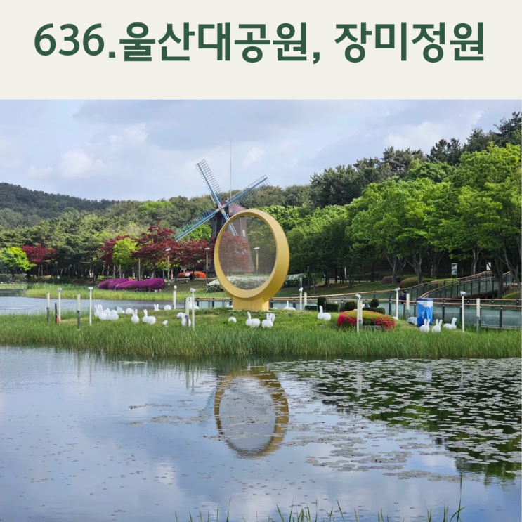 울산 가볼 만한 곳, 300만 송이 장미가 피어나는 울산대공원 장미원/....