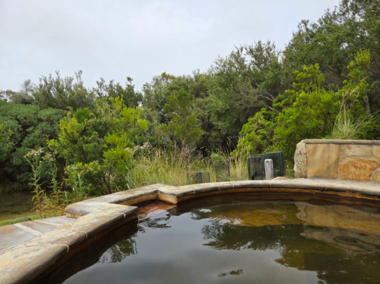 호주 멜버른 한달살기 | 모닝턴 페닌슐라 온천(Peninsula Hot Springs)