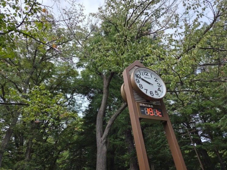 16개월, 36개월 아이들과 함께 하는 북해도 여행-7. 마루야마동물원 ....