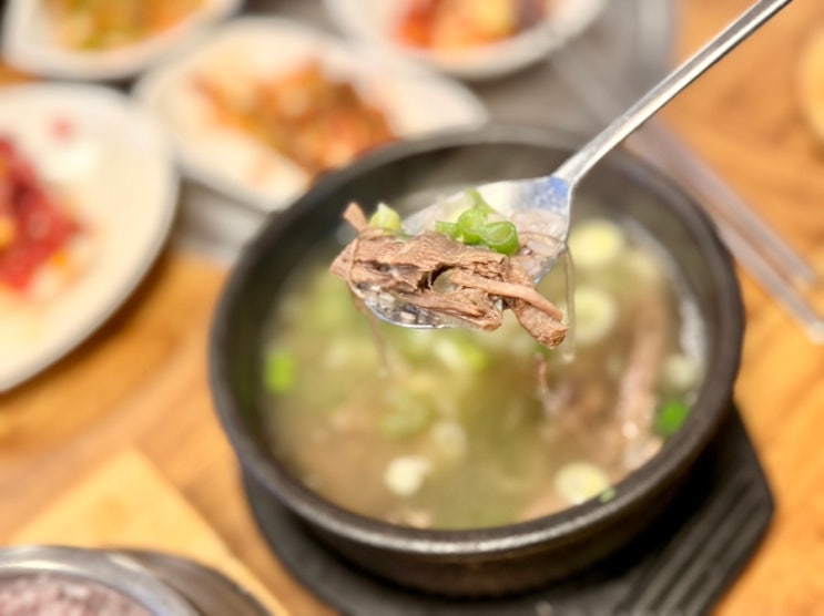 [대전역 맛집] 토우 국내산 한우암소만 고집하는 황기한우갈비탕 돌....