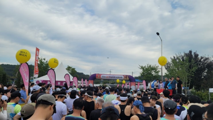 2026 금산인삼축제 마라톤대회 -하프런
