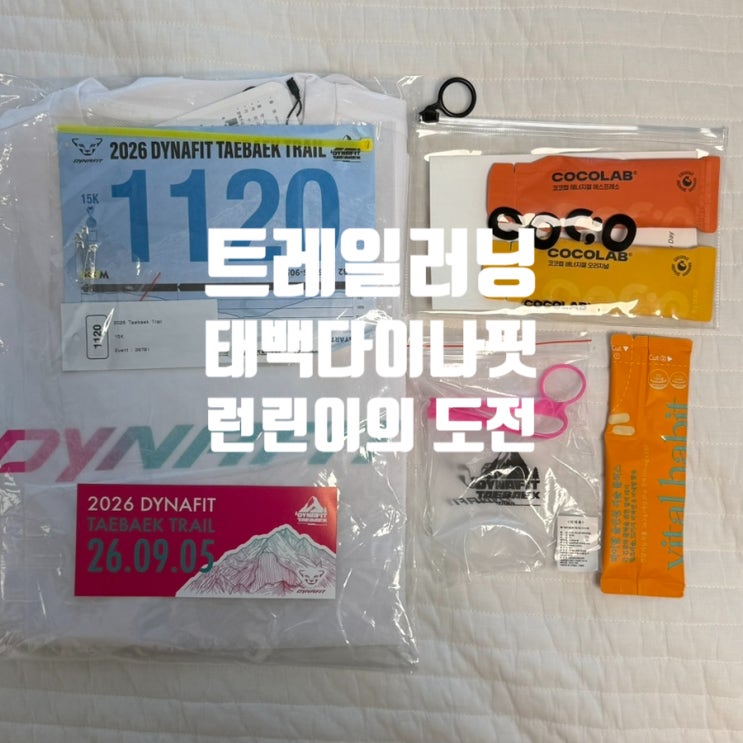 [트레일러닝] 태백 다이나핏 트레일러닝 준비 및 후기