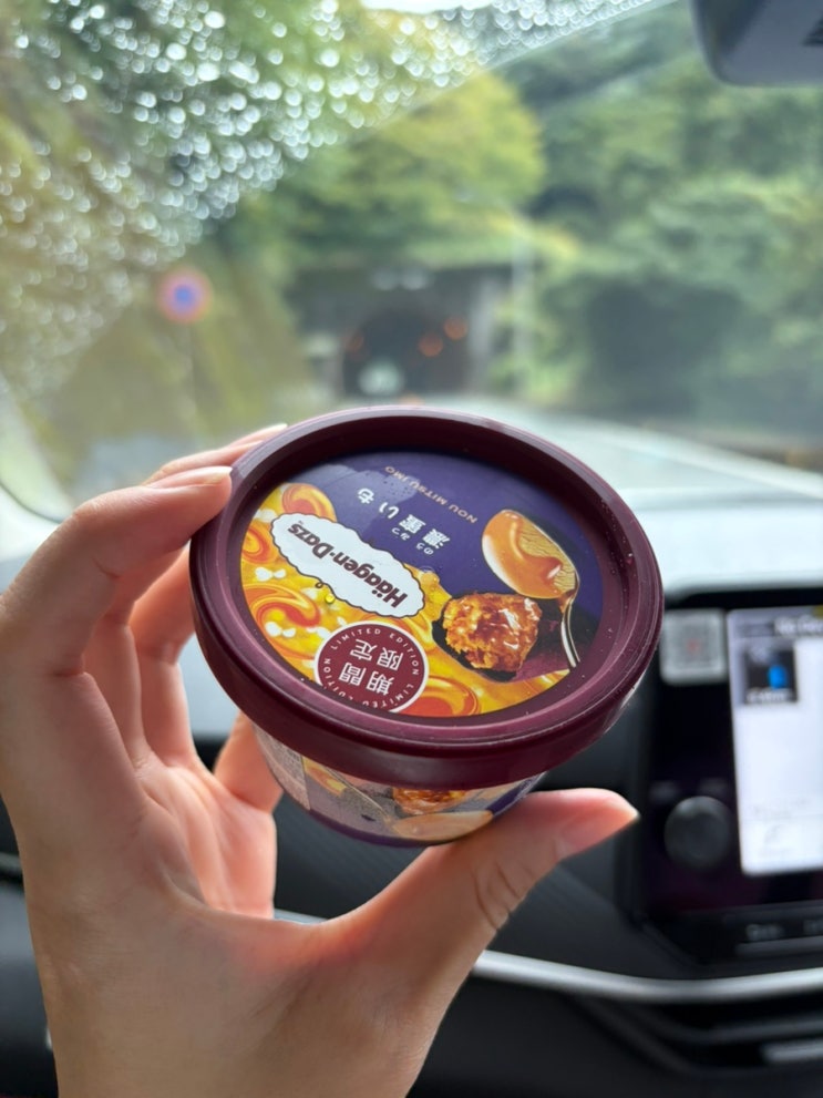 이즈 여행 5일차｜하코네에서 슈젠지·도가시마 드라이브 + 대나무....