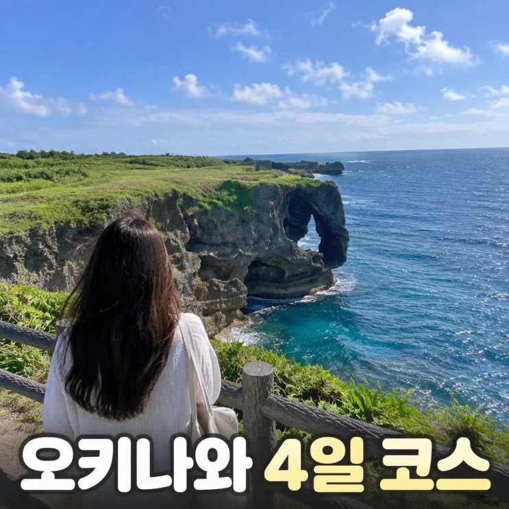 오키나와 4일 코스 추천ㅣ만좌모, 츄라우미 수족관, 슈리성