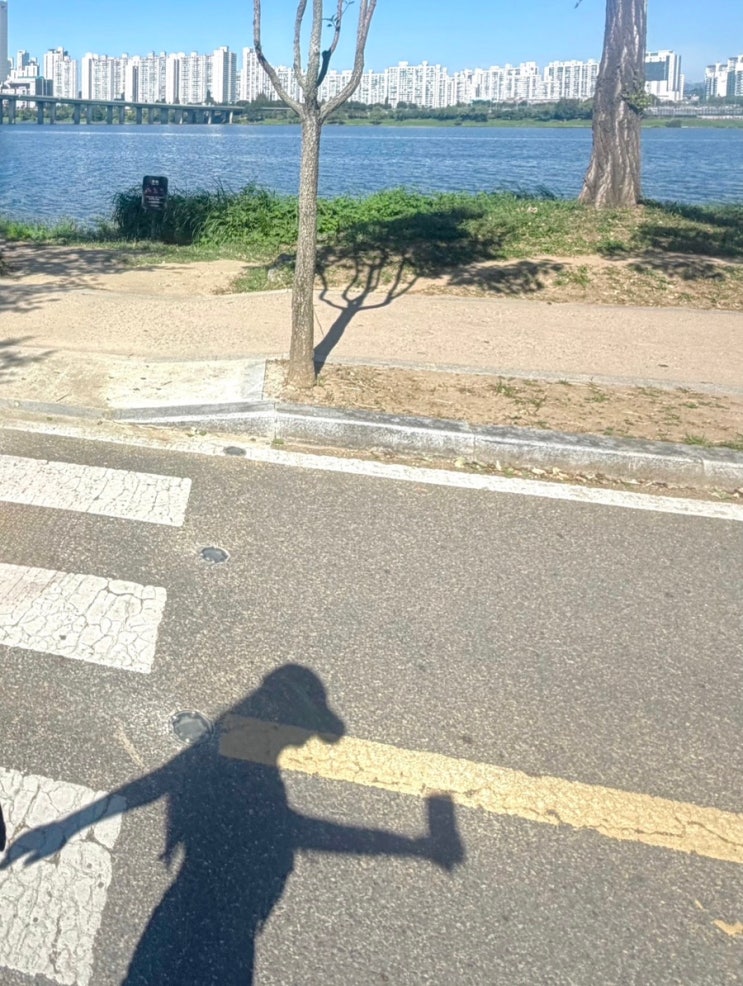 [강동선사마라톤축제]난한번도 10KM를달려본적이없어요/후기