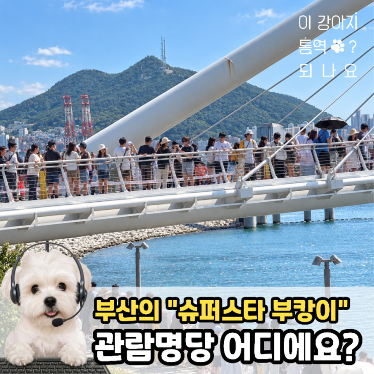 부캉이 위치부산 북항 친수공원 수로 주소 부산 동구 이순신대로 164 현재 상황 9월 18일부터 사흘째 목격 관람 방법 수로 주변 관람구역에서 안전요원 안내 따르기 주의사항 수로 접근 금지, 30분 이내 관람 권고 평소라면 그냥 산책하기 좋은 북항 친수공원인데, 지금은 3m가 넘는 상어를 실제로 볼 수 있는 아주 특별한 상황이 됐어요. 다만부캉이는 전시된 동물이...
