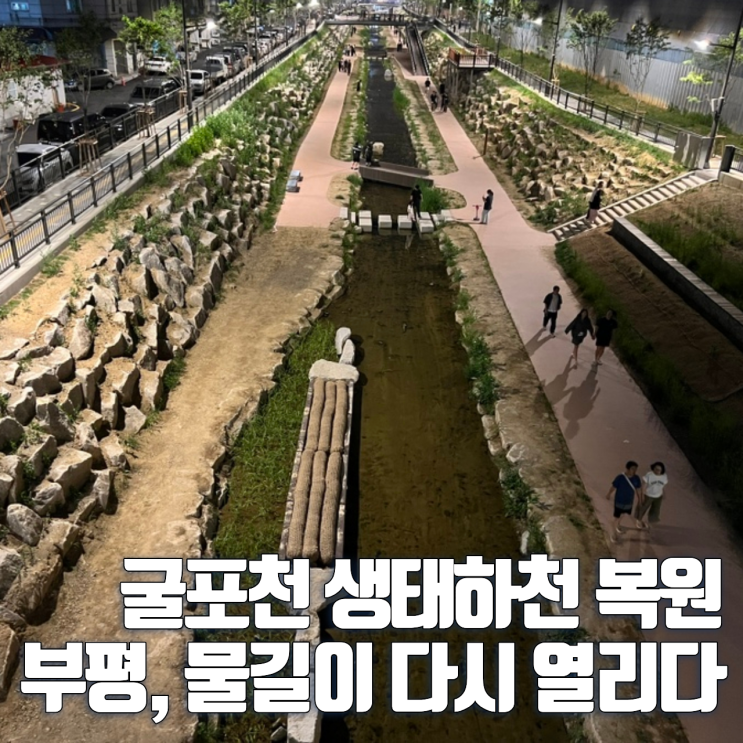 굴포천 생태하천 복원 부평에 다시 열린 물길을 걸어봤어요