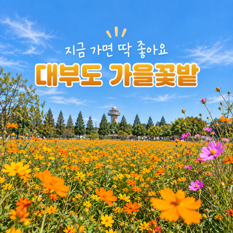 대부도 바다향기테마파크 경기도 가을여행지 지금 꽃구경 어때요?