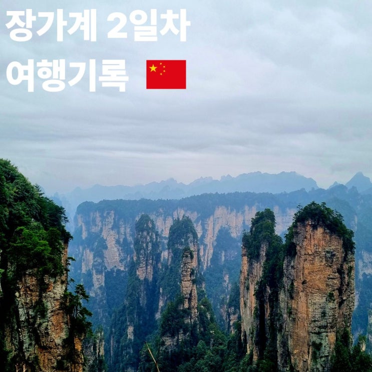 장가계 여행기록: 2일차 천자산 원가계 백룡엘리베이터 아바타촬영....