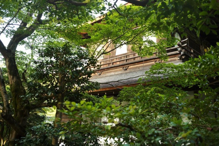 교토 동산 힐링 산책: 은각사 → 철학의길