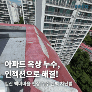 일산 아파트 옥상 방수, 천장 인젝션으로 누수 해결 시공 사례