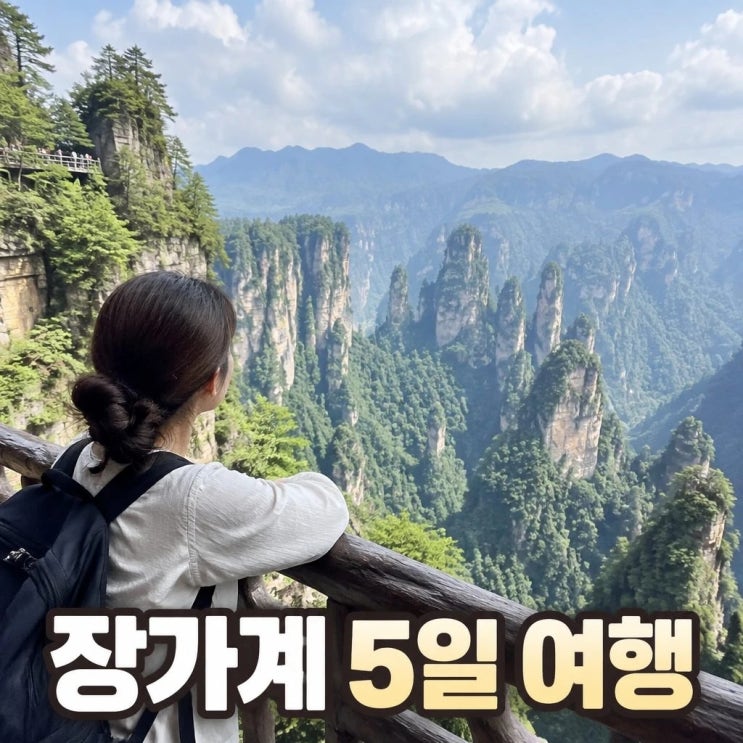 장가계 직항 5일 코스 추천ㅣ원가계, 천문산, 보봉호