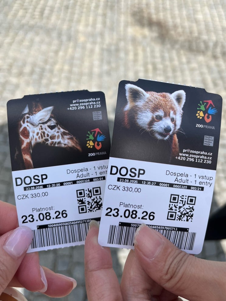 세계 5대 프라하 동물원 갈까 말까? 직접 가보니…