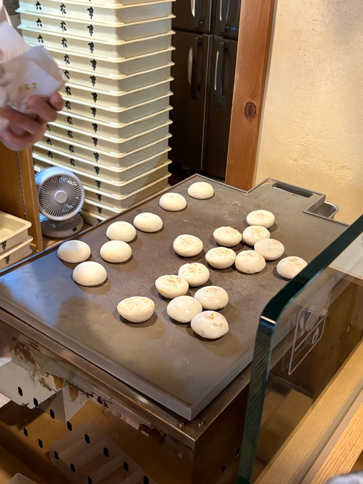 [삿포로 여행] 마루야마 공원 | 홋카이도 신궁 | 롯카테이 진구차야 |....