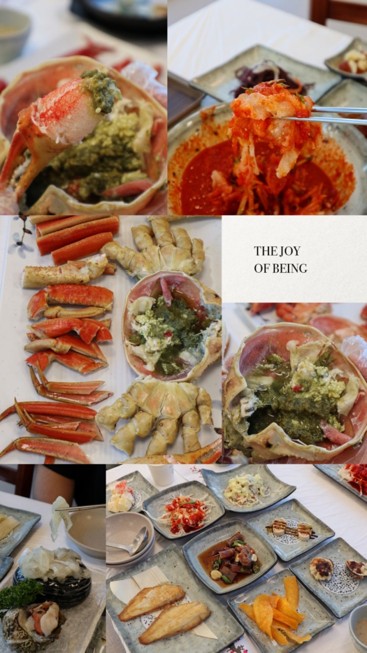 안동에서 1시간! 영덕 대게 맛집 축산항대게궁｜대게·홍게 코스