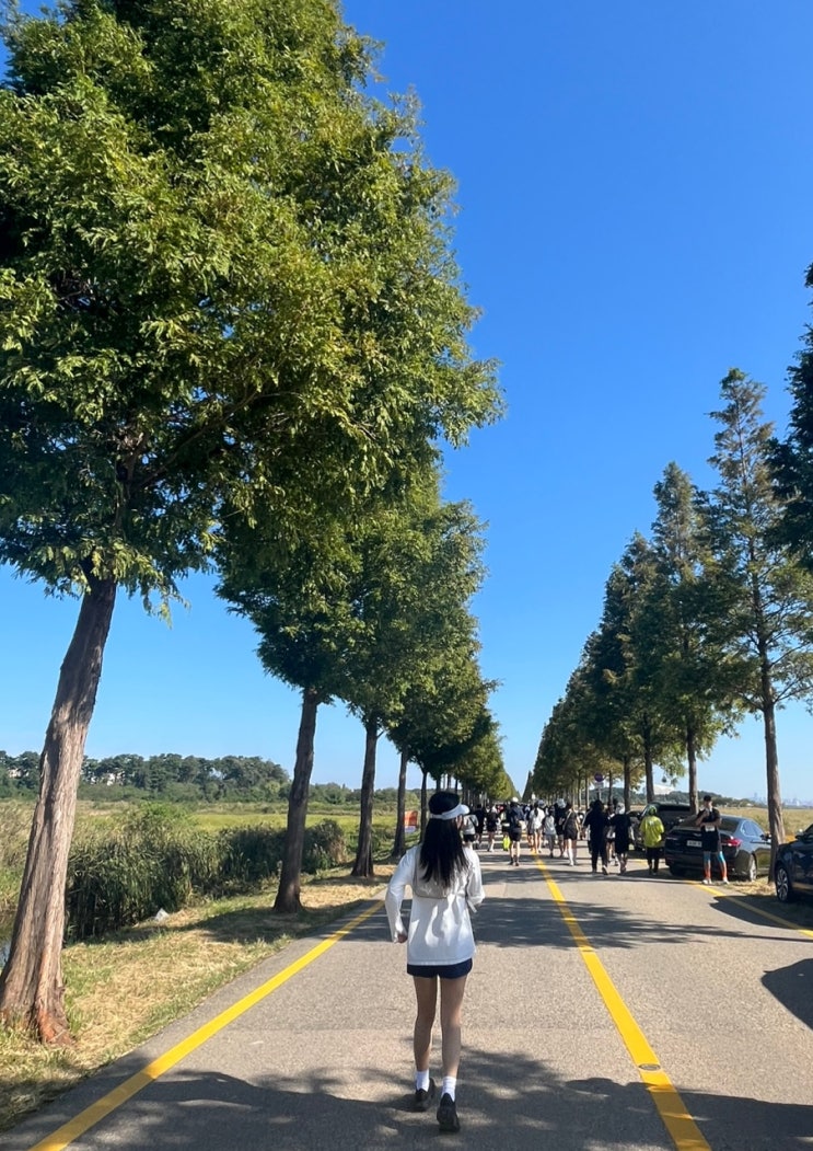 2026 안산마라톤 후기｜첫 5km 완주! 30대 여자 런닝화 추천 + 러닝조끼