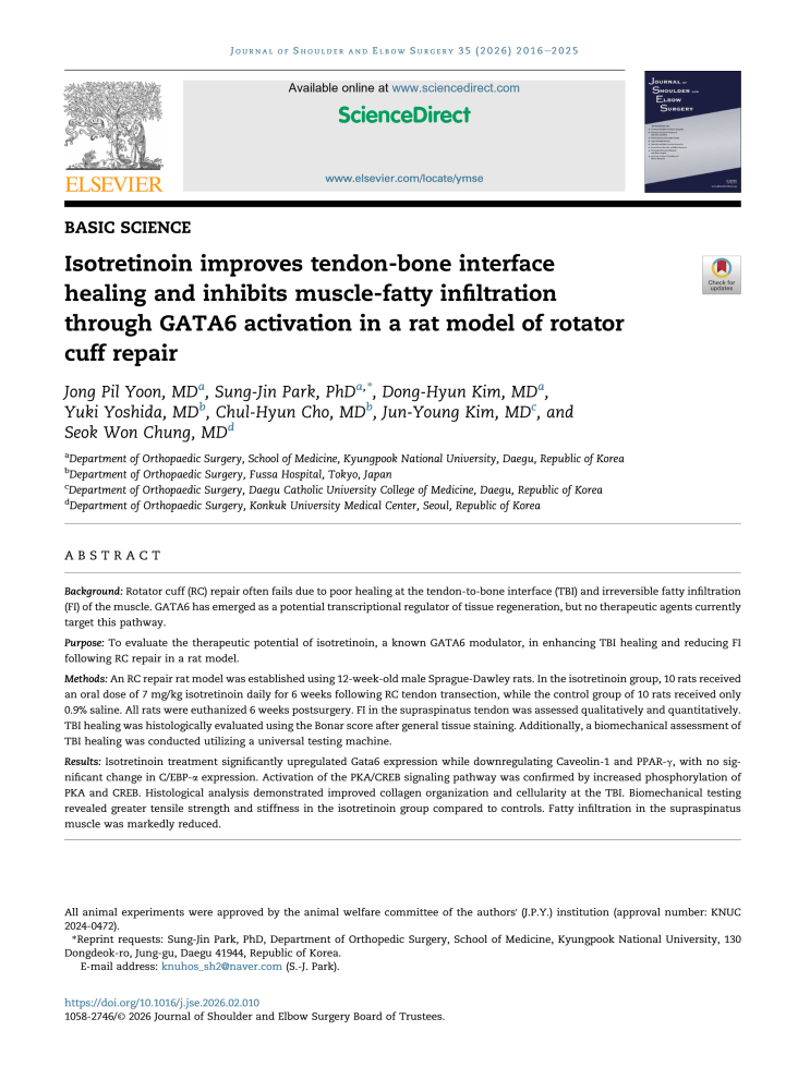논문발표 - Isotretinoin improves tendon-bone interface healing and inhibits ...