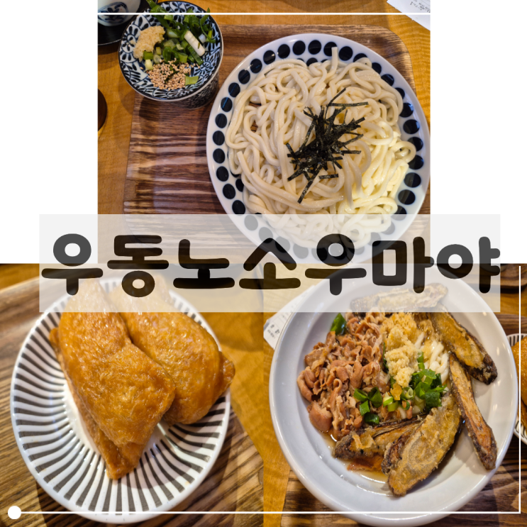 삿포로 우동 맛집｜오도리공원역 근처 우동노소우마야 후기