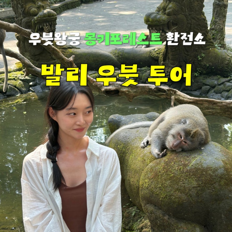 발리 여행 코스 우붓 투어 일정 추천, 몽키포레스트 왕궁 시장 환전....
