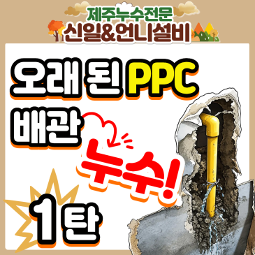 제주도누수 해결 현장! 제주시이도이동, 빌라 PPC배관 터짐 잡는 제주누수탐지전문 여성누수 엔지니어의 1탄 (feat. 제주누수 / 여자누수)