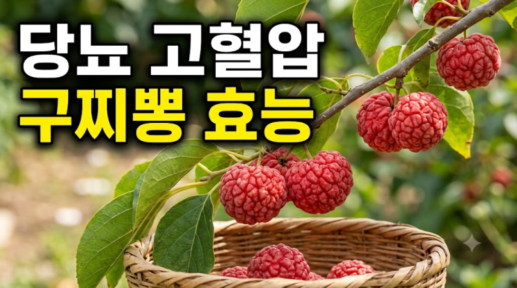 당뇨·고혈압 잡는 구찌뽕 효능! 약이 되는 사람 vs 독이 되는 사람 (부작용 필독) : 네이버 블로그
