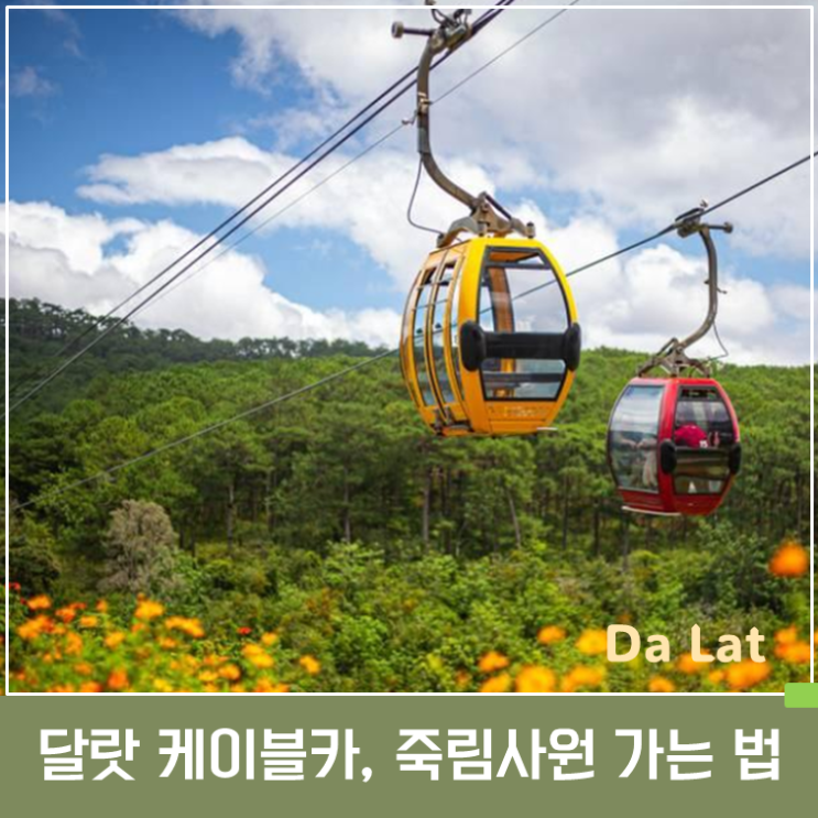 달랏 케이블카｜가격·운영시간·죽림선원 가는 법